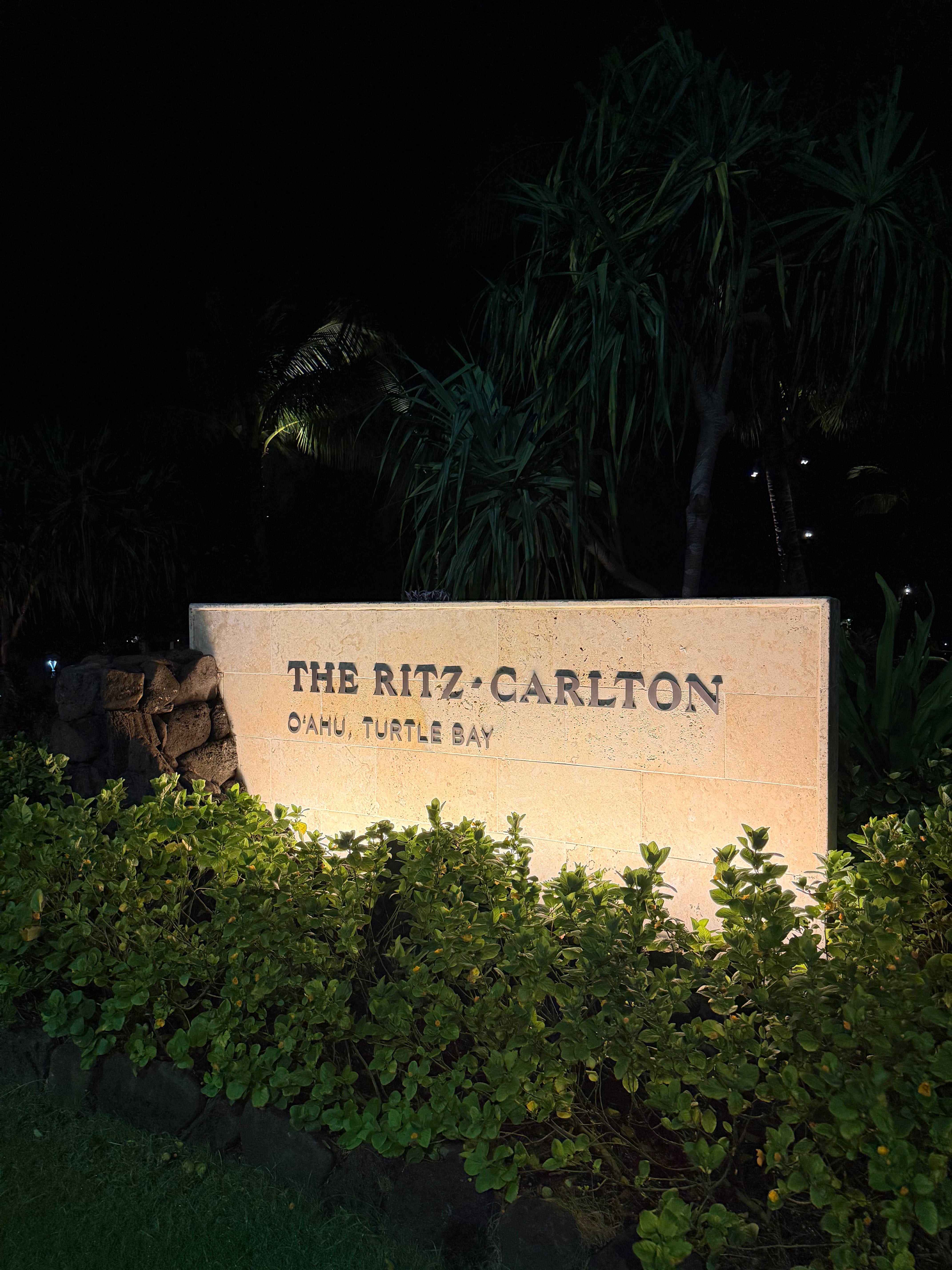 Turtle Bay, night