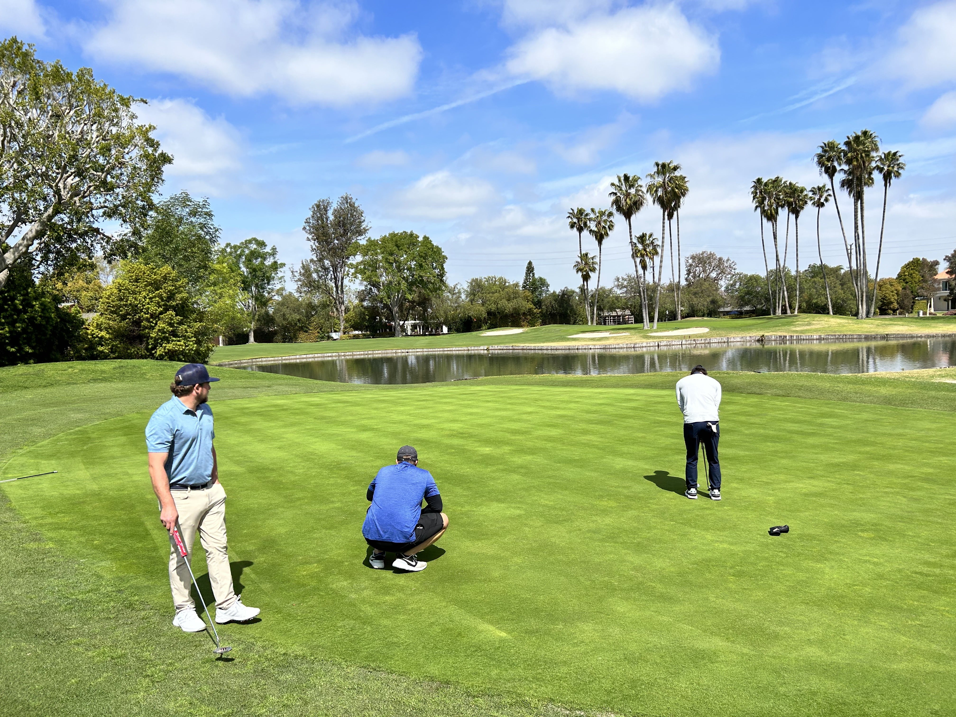 OC golf, palms
